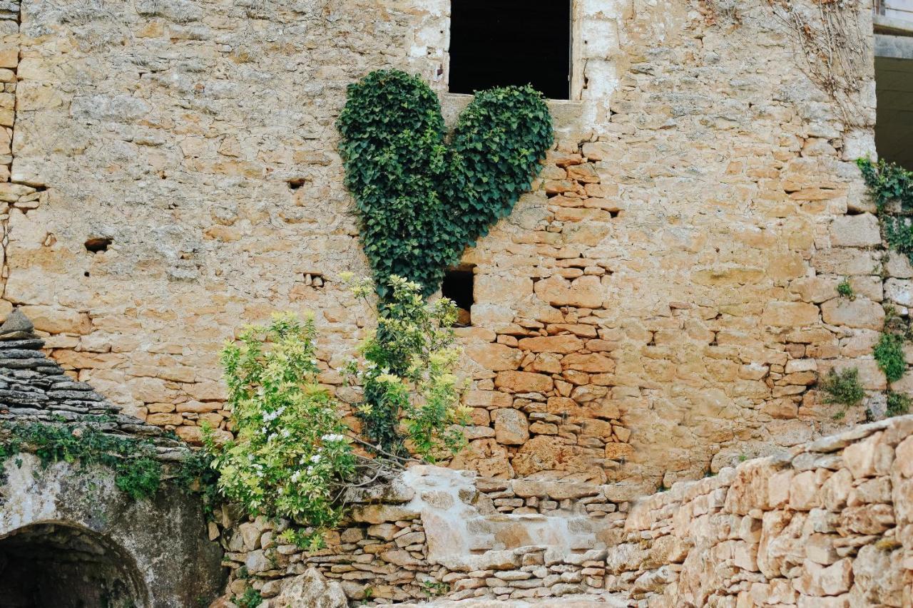 Maison Cistus - Maison D'Hotes De Charme - Suites Et Gite Avec Terrasses Privees - Proche De Sarlat, Au Coeur De La Nature Εξωτερικό φωτογραφία