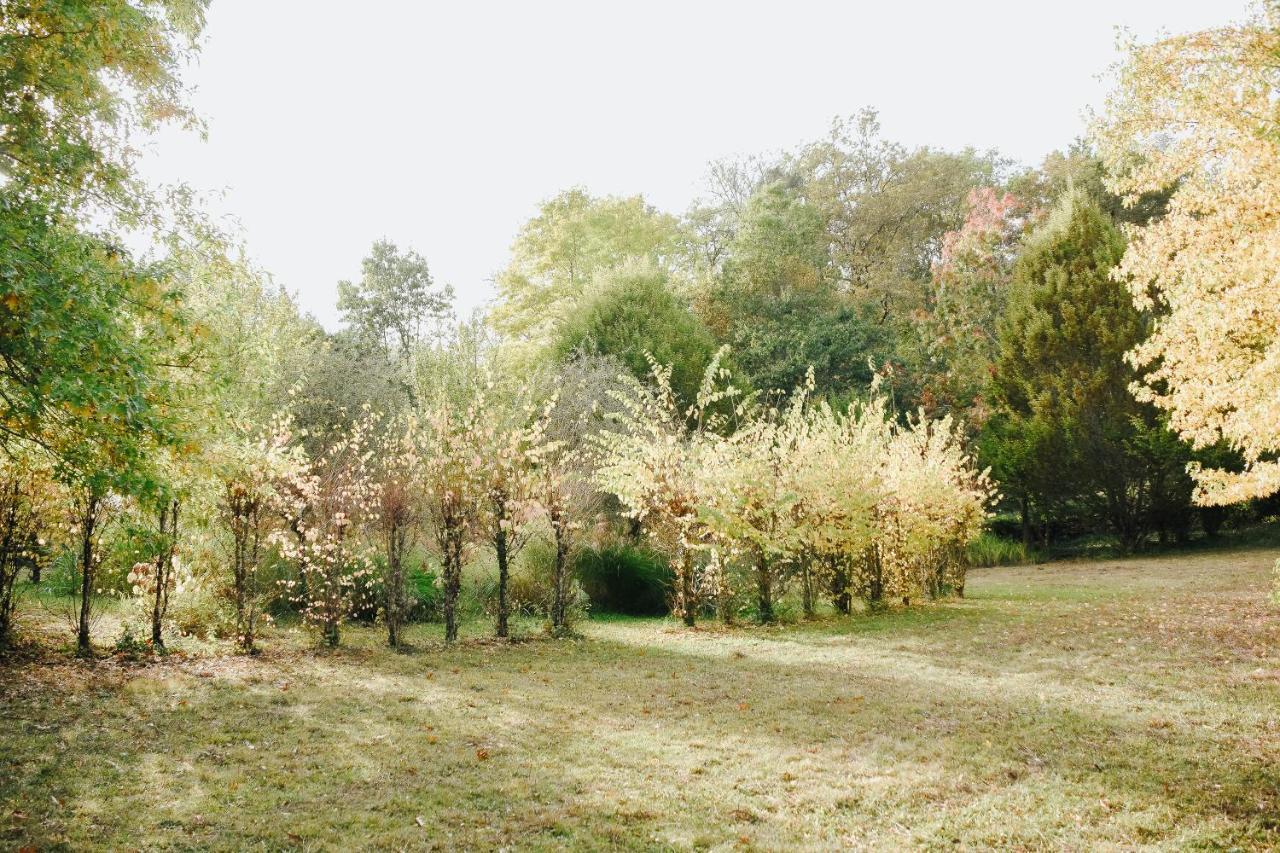 Maison Cistus - Maison D'Hotes De Charme - Suites Et Gite Avec Terrasses Privees - Proche De Sarlat, Au Coeur De La Nature Εξωτερικό φωτογραφία